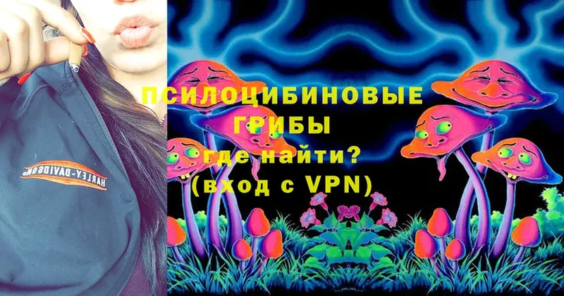 Галлюциногенные грибы Cubensis  Петушки 